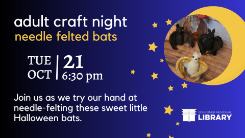 moon stars and bats
